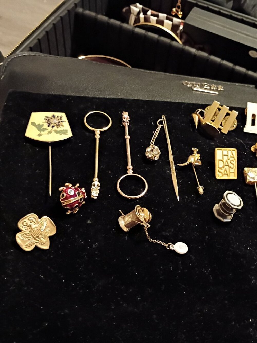 Various Vintage Antique pins and picks collection